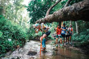 BIB: 
                            <button type="button" onclick="openModal(25370342)" class="btn btn-primary btn-sm float-right btn-popup" data-toggle="modal" data-target=".modal-high-quality">
                        <i class="fas fa-shopping-cart"></i> Add to Cart
                    </button>
                                            <button type="button" onclick="isThisMe(25370342, true)" class="btn btn-success btn-sm float-right btn-popup btn-isme hidden" data-toggle="tooltip" data-placement="bottom" title="นี่คือรูปของคุณใช่ไหม คลิกที่นี่เพื่อเอาเข้าอัลบั้ม">
                        <i class="fas fa-plus"></i> Add to album
                    </button>
                    <button type="button" onclick="isThisMe(25370342, false)" class="btn btn-warning btn-sm float-right btn-popup btn-isnotme hidden">
                        <i class="fas fa-ban"></i> Remove from album
                    </button>